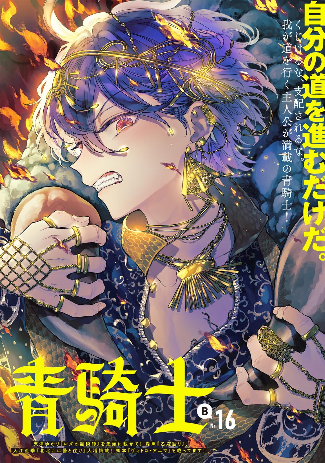 青 Amazon.co.jp: 青騎士 第16B号 (青騎士コミックス) : あすか編集部: 本